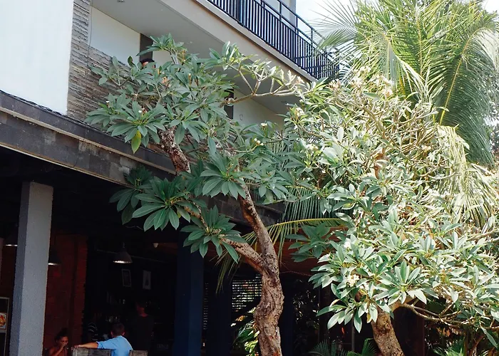 Double A House 3* Canggu